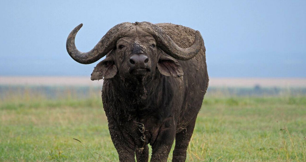 best weekend getaways from Nairobi